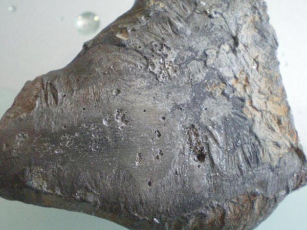 �����תҤԭ��|������תҤ�۸�|����ԭ��תҤ����