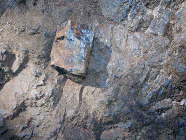 �ѿ�ѡ���豸|ѡ�ѿ��豸��������