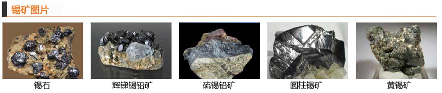 ����ѡ����