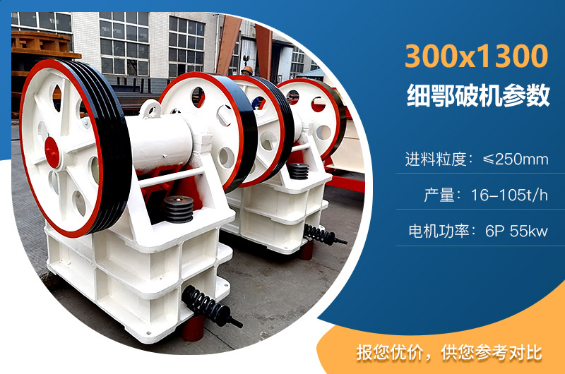 300��1300ϸ���ƻ�����