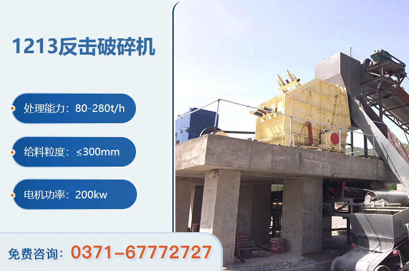 1213�������������