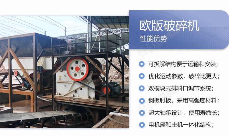 ŷ���������������