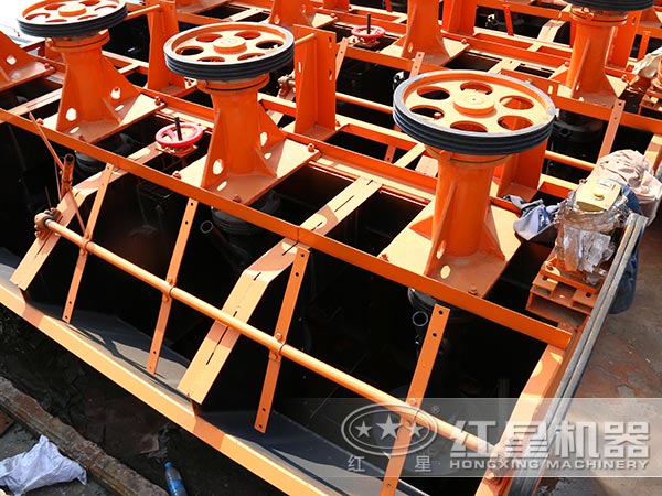 �̿�ѡ���ֲ�ϸ��չʾ