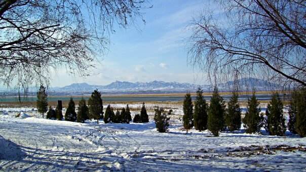 �캮�ض������ö�ʽ�����������������Ҫ