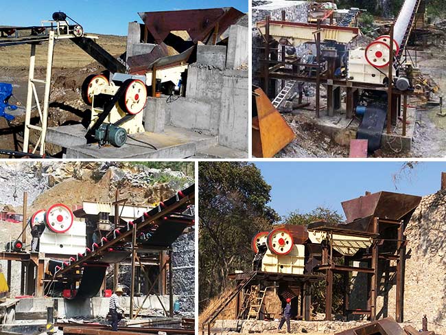 �����ҵ�ֳ�