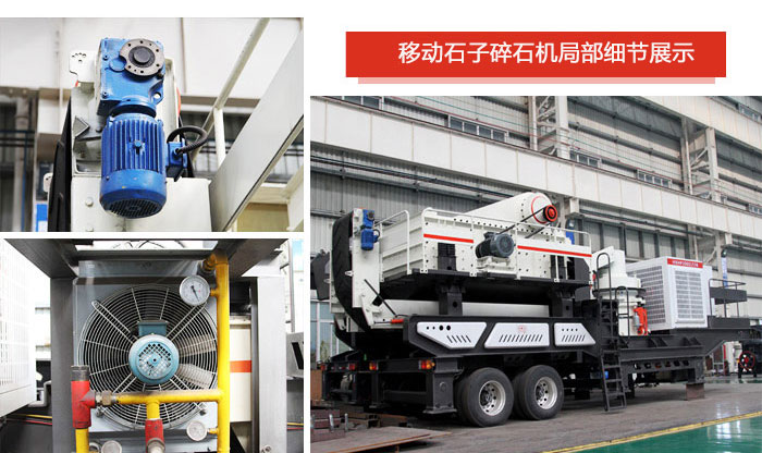 ʯ����ʯ���ֲ�ϸ��չʾ