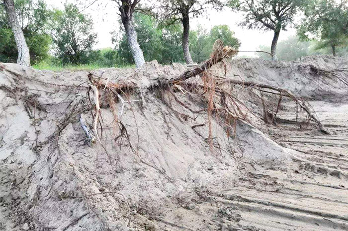 ���ڲ�ɳ����̬�⵽�����ƻ�