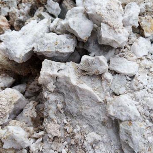 ����������ͼ