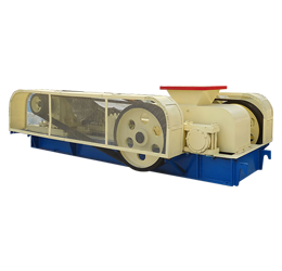 �Թ������